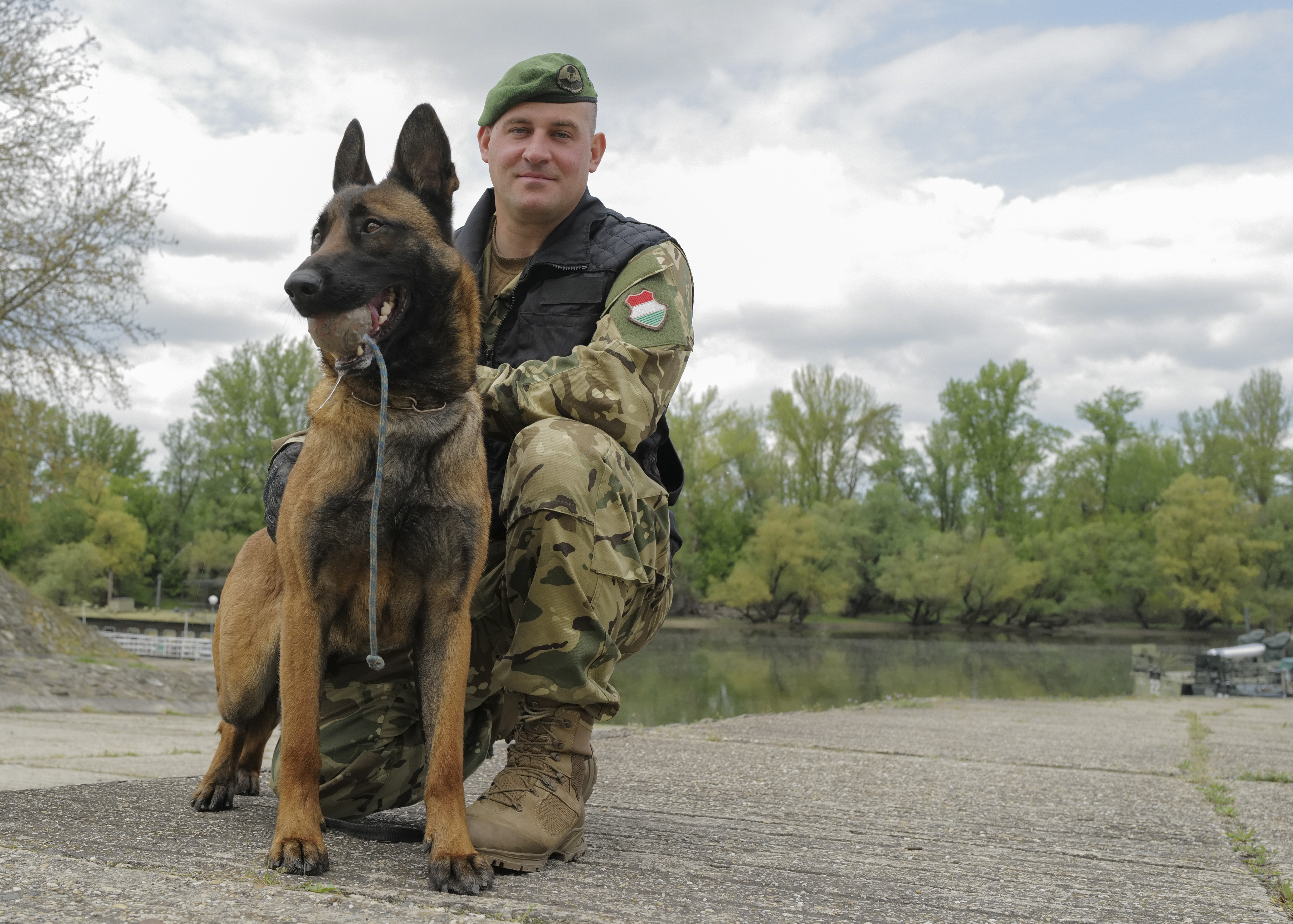 Hungarian store german shepherd