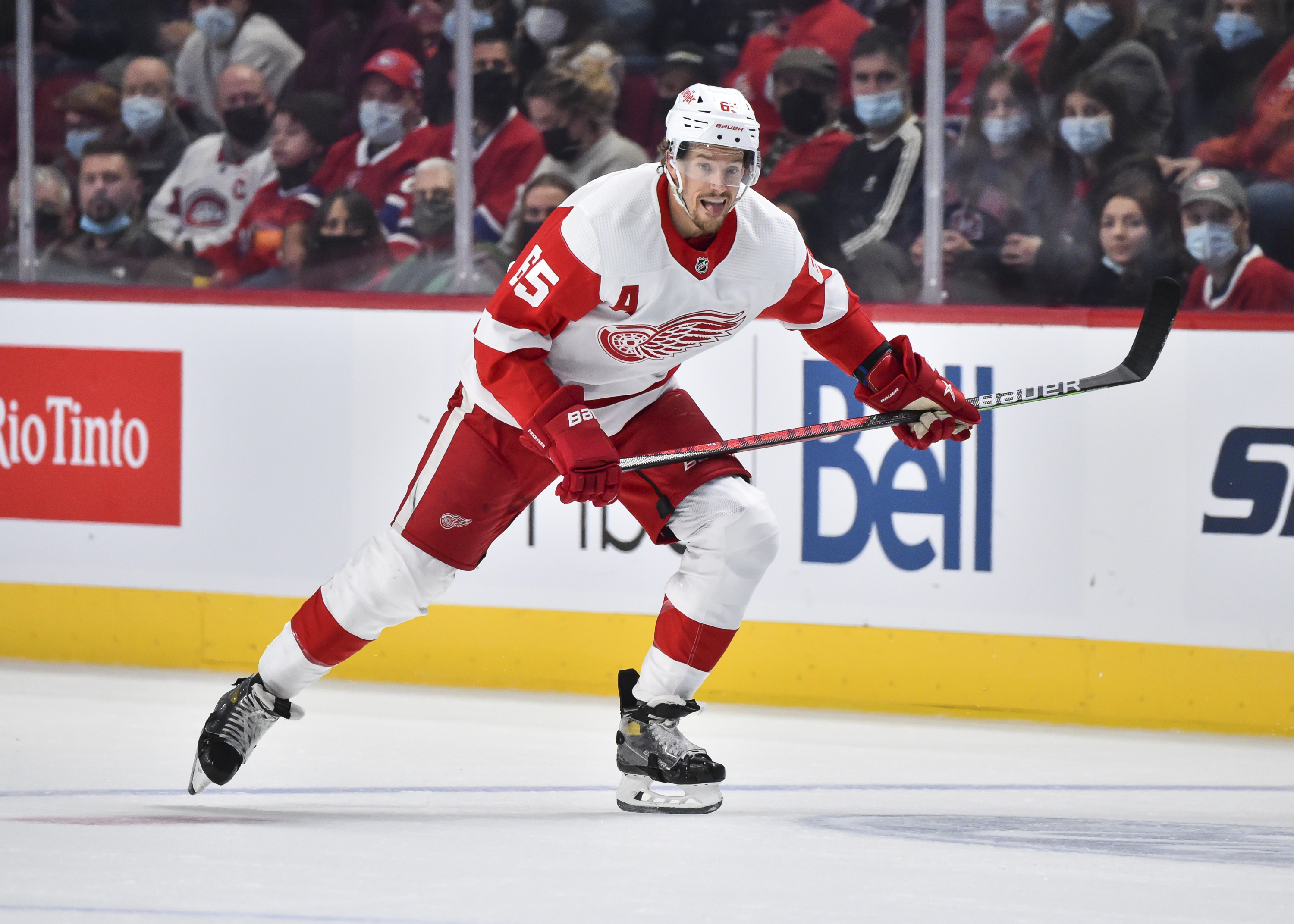 The Detroit Red Wings Alternate Captain Options