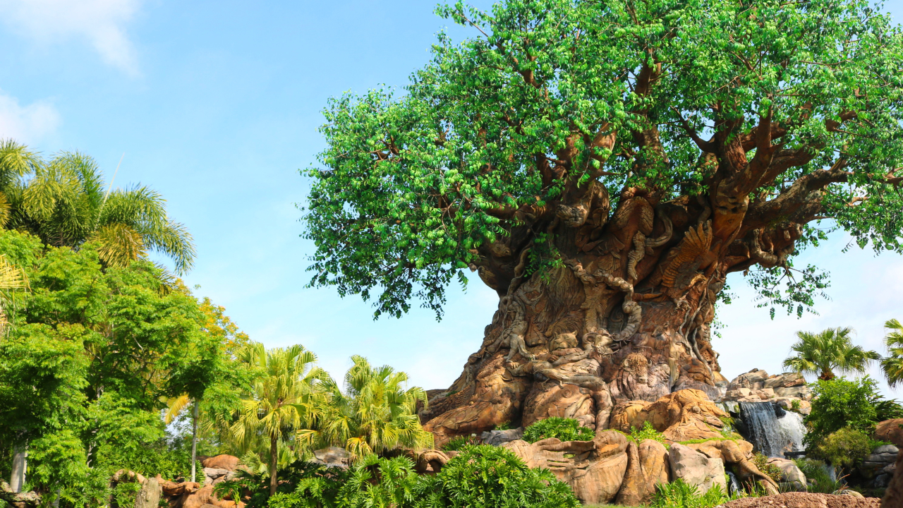 How to celebrate Earth Day at Disney's Animal Kingdom
