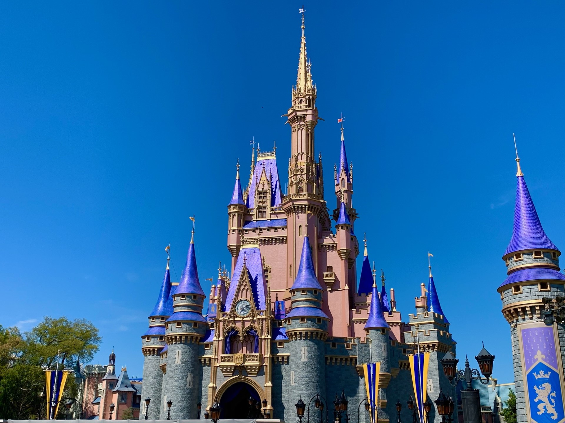 Entries for Disney Cinderella Castle suite contest help 'Give Kids the  World