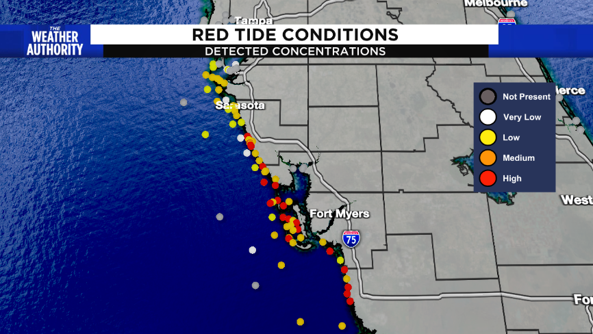 Red tide is becoming a major issue on Florida's west coast