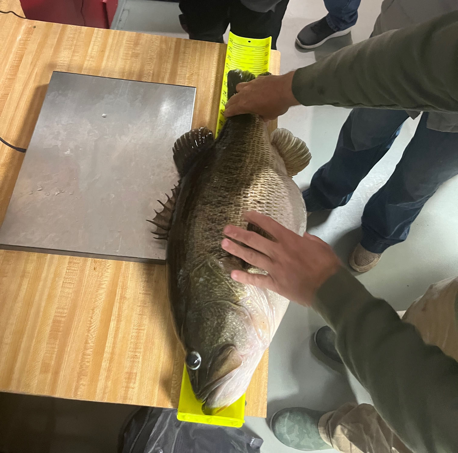 Texas fishing guide catches 8th heaviest largemouth bass in state history