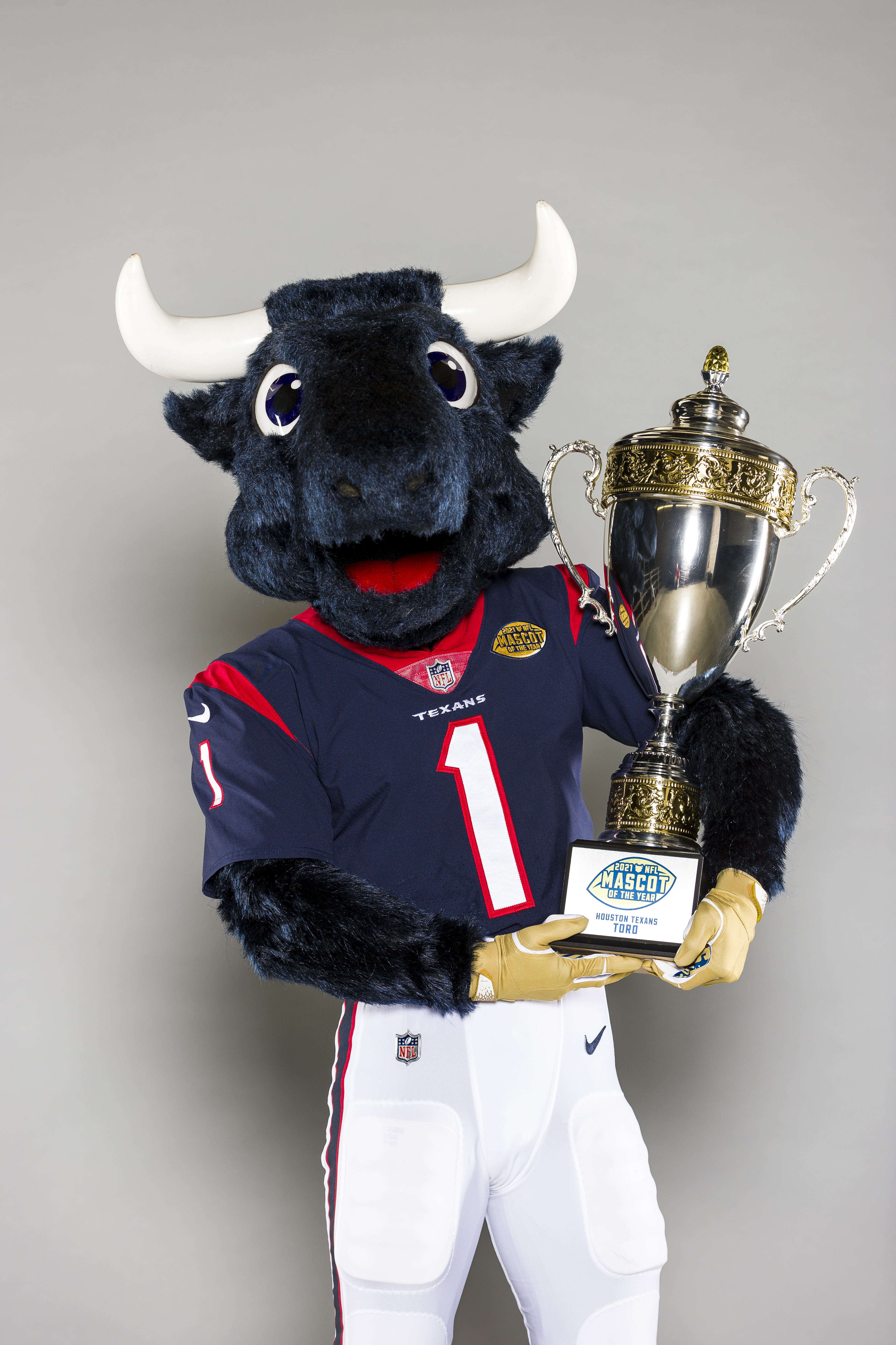 Who is Houston Texans' Mascot Toro?