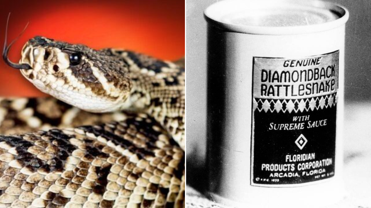 Is this Florida's strangest delicacy? Here's how it got so popular