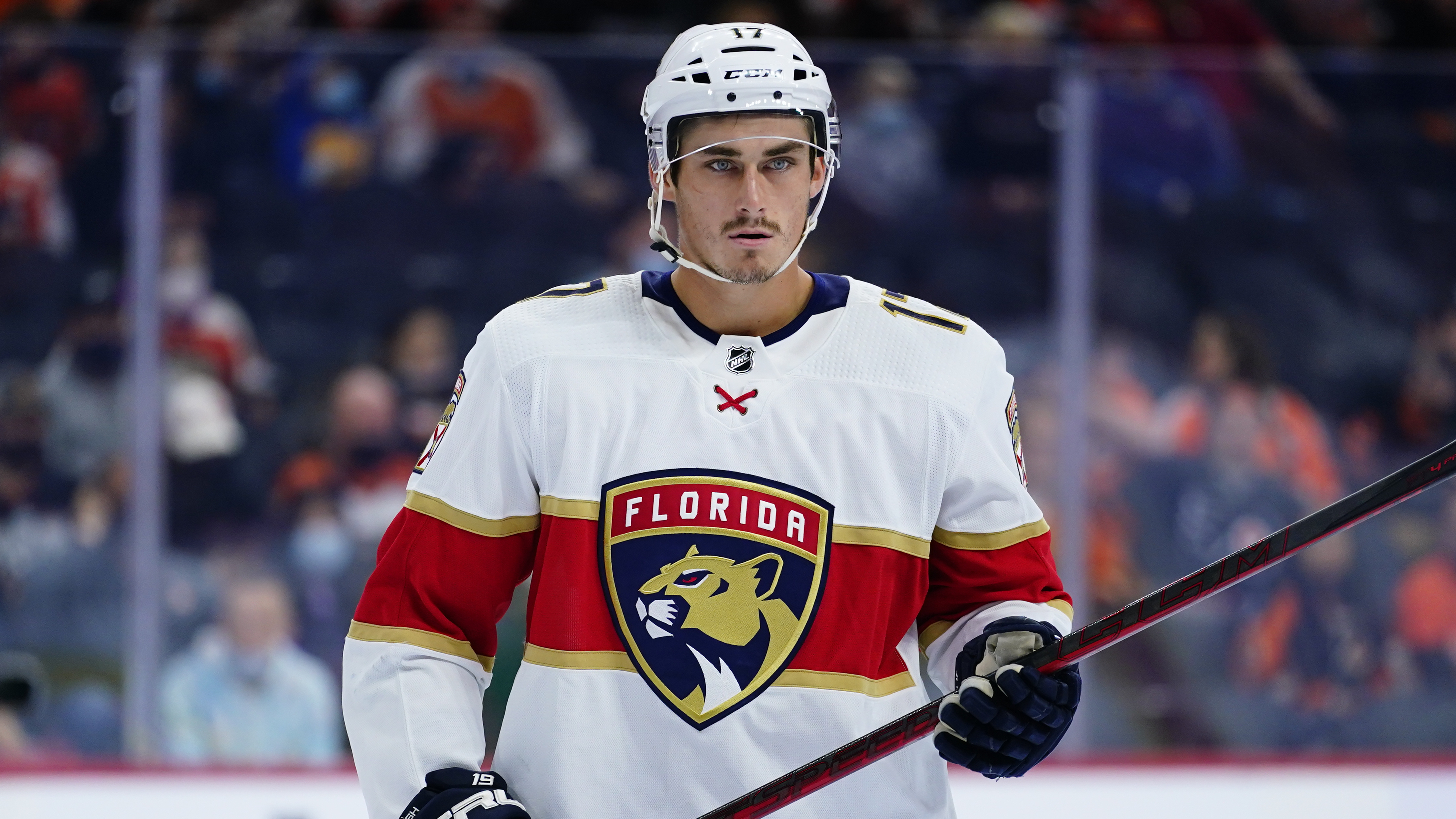 19 Florida panthers dead so far in 2022