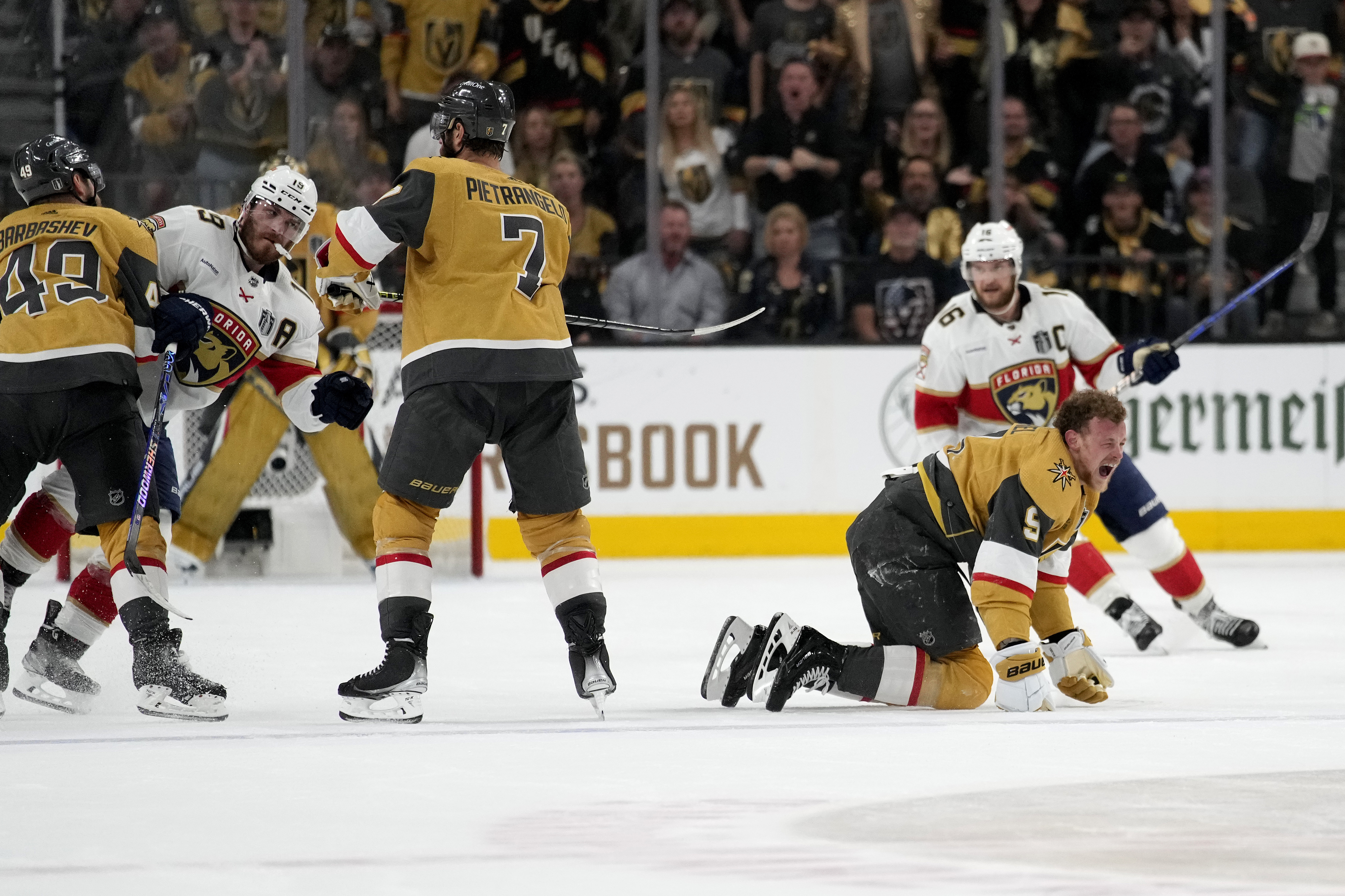 Vegas Golden Knights 2023 Stanley Cup Champions Book: It Hurts to Win