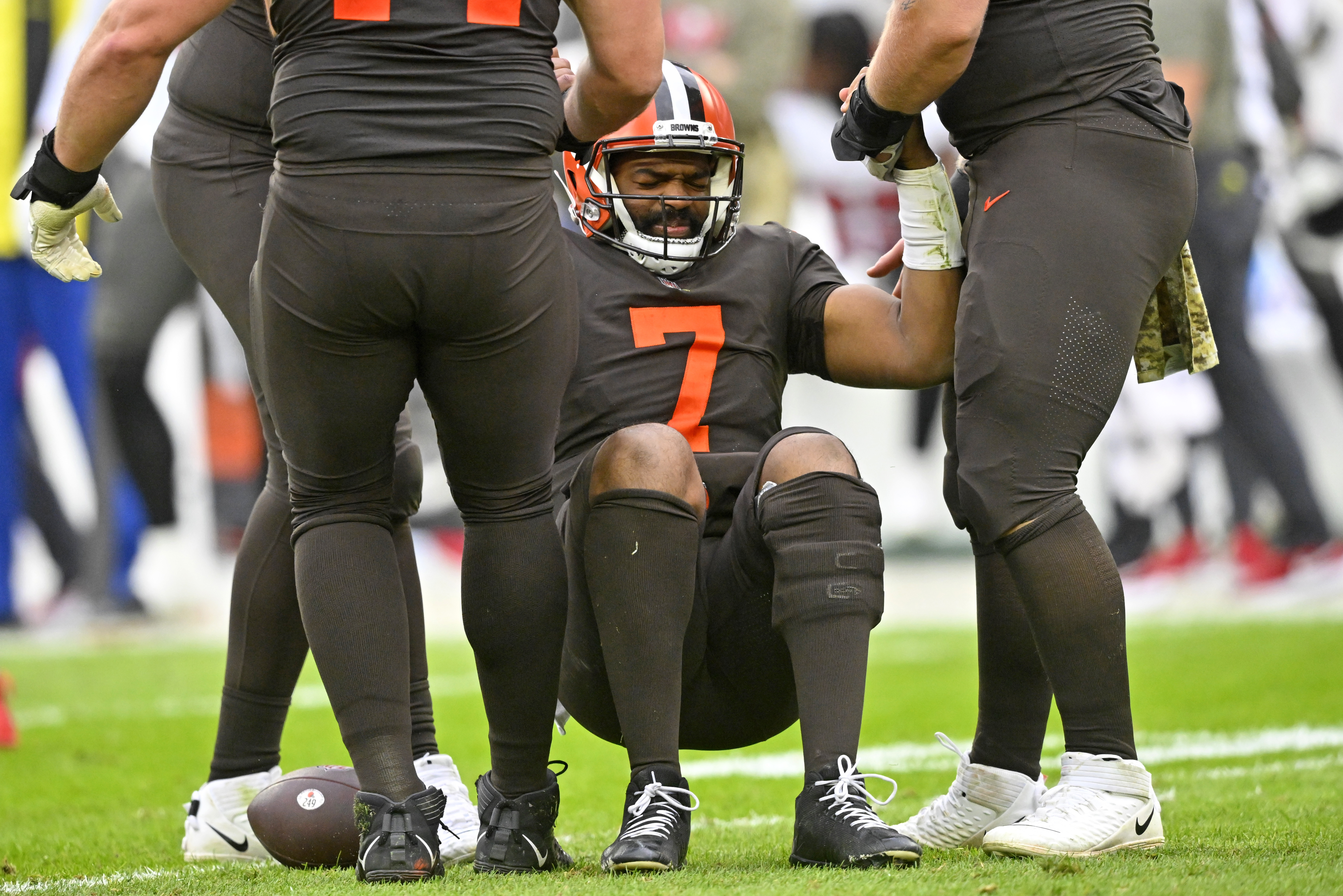 Skunk invades Browns stadium