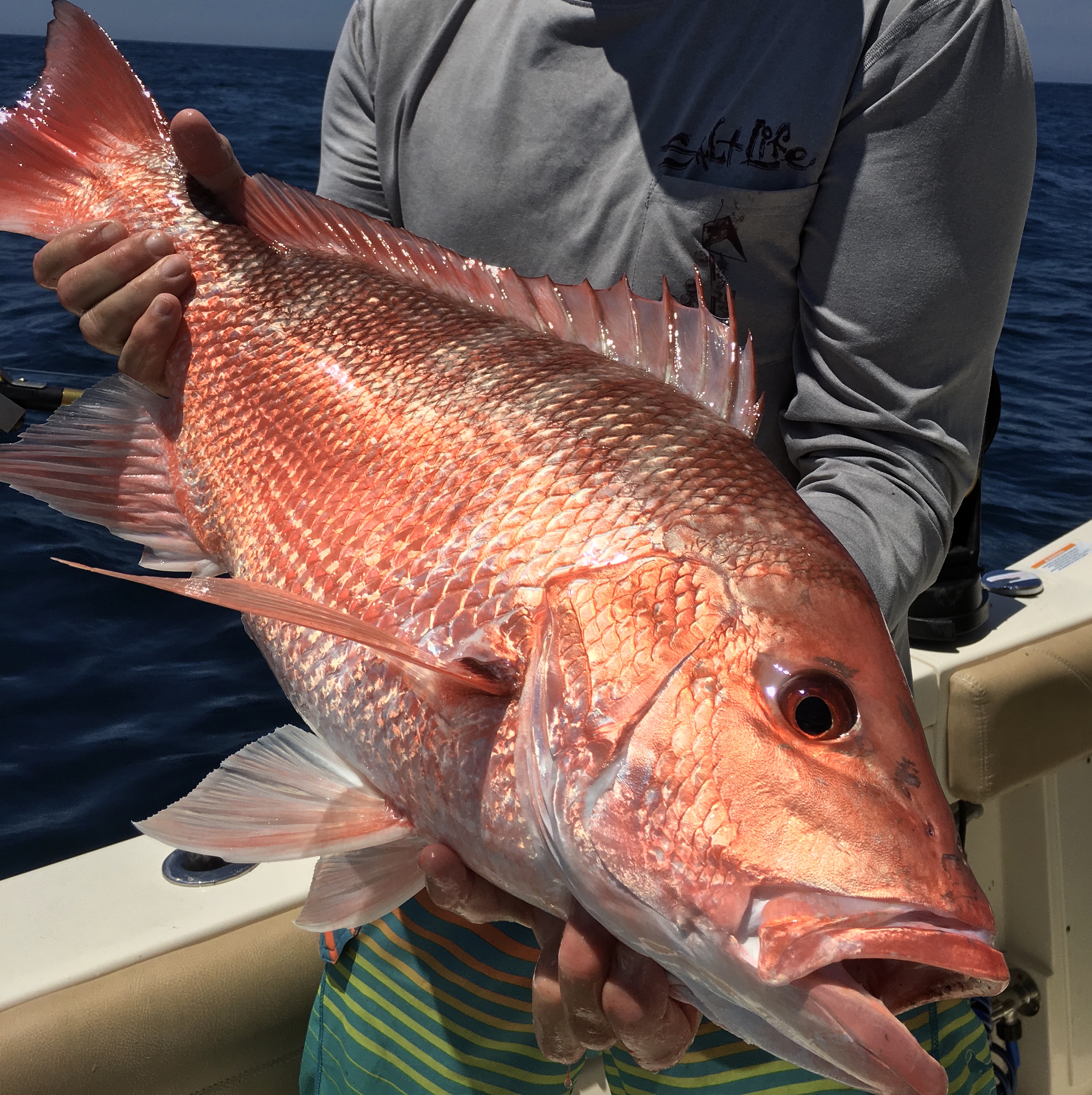 4 day Red Snapper season for South Atlantic