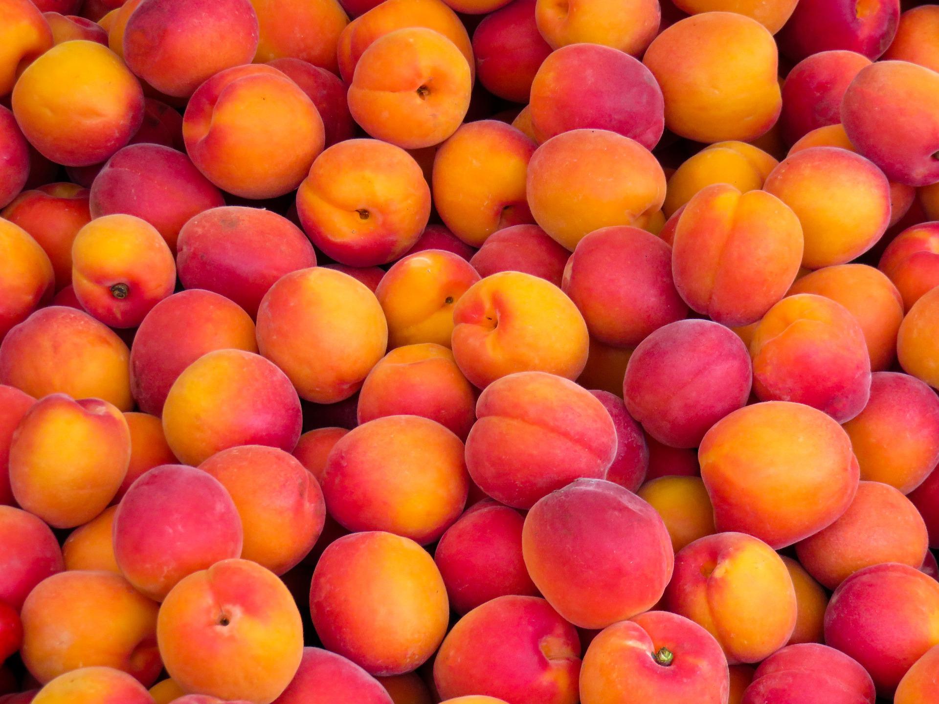 Peach State on course to run out of peaches