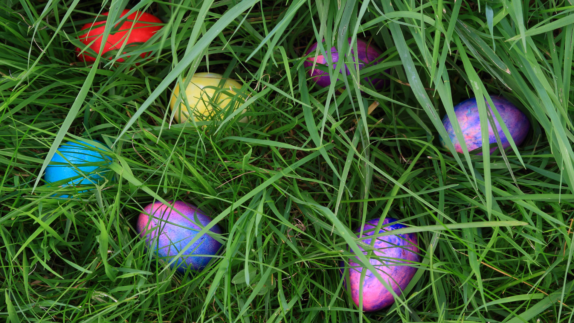 Best Easter Egg Hunts Near Houston for Kids