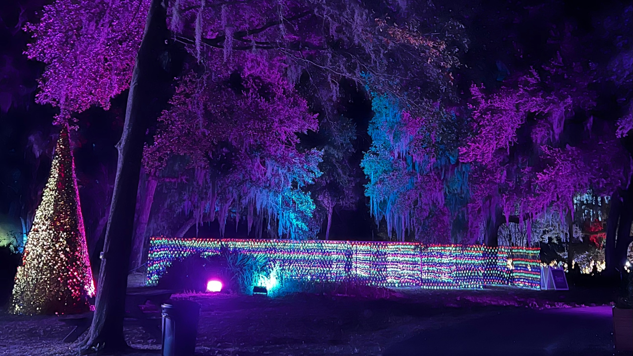 List🎄🎅: Here are the best Christmas light displays & events around  Northeast Florida