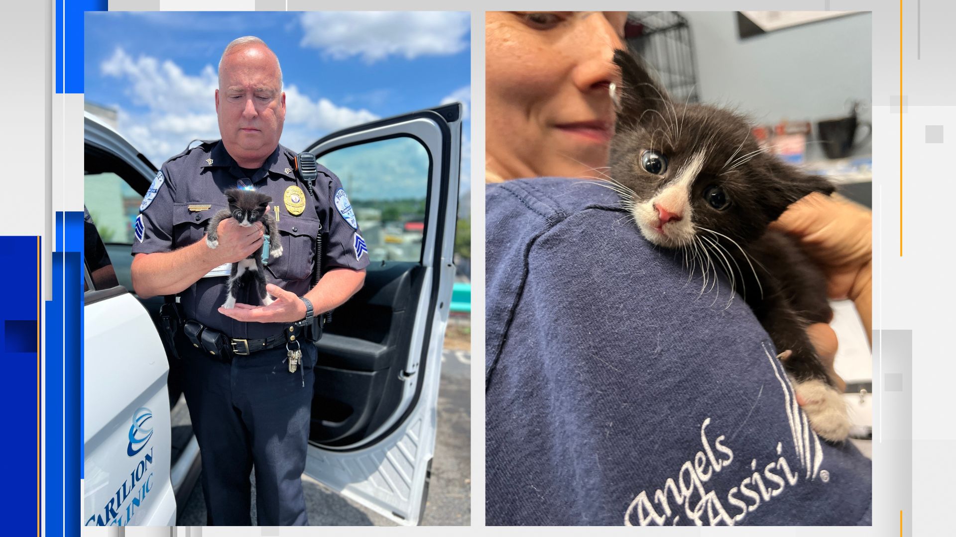 Police station cat Constable Snickers found safe after missing for two  weeks