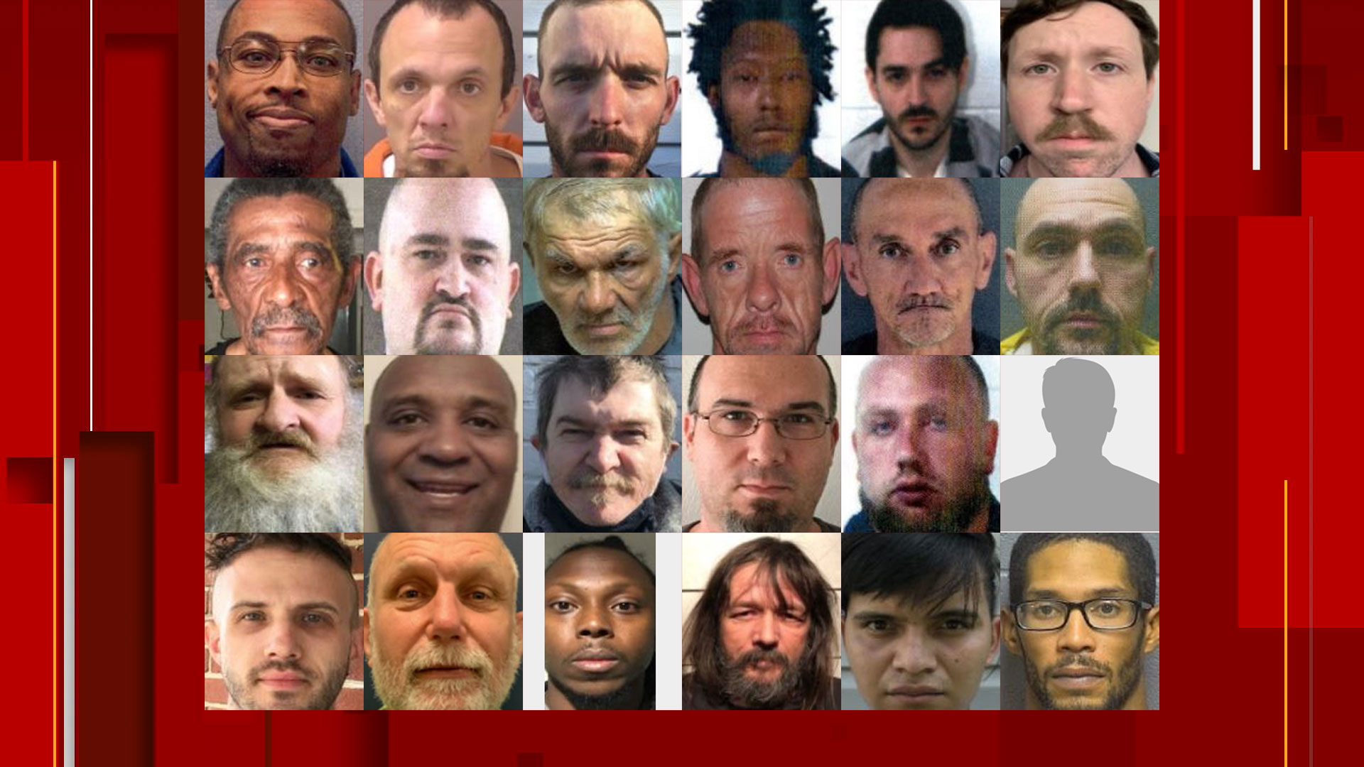 24 registered sex offenders arrested in Virginia as part of joint operation