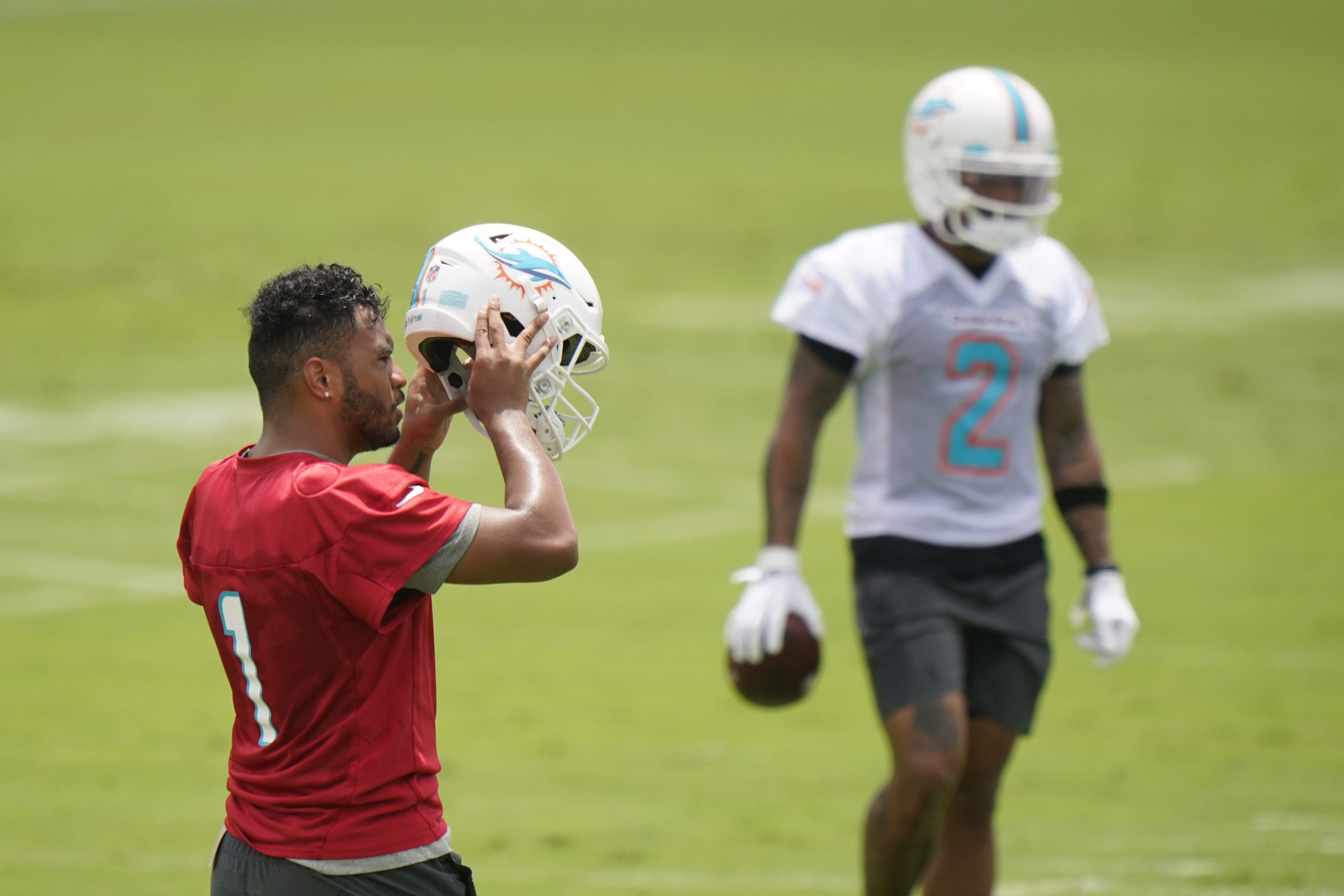 Miami Dolphins: More playbook issues for the Dolphins?