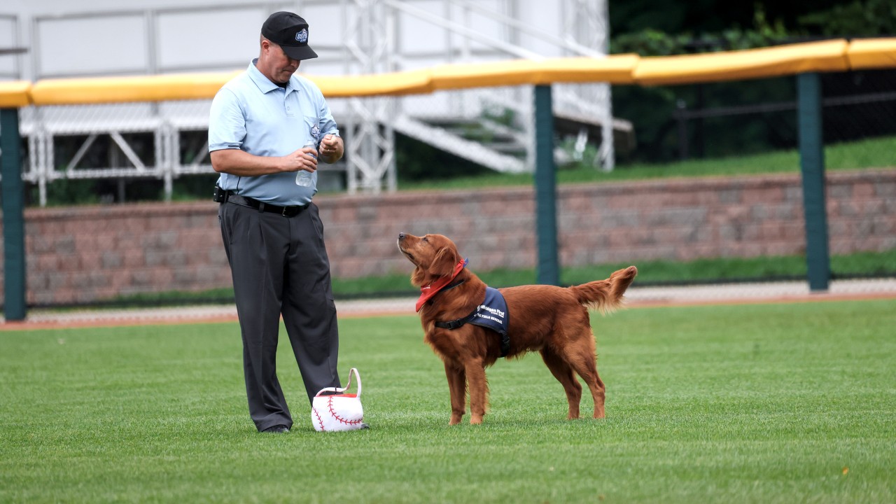 Baseball-playing dog brings joy to Astros fans at local hosptial