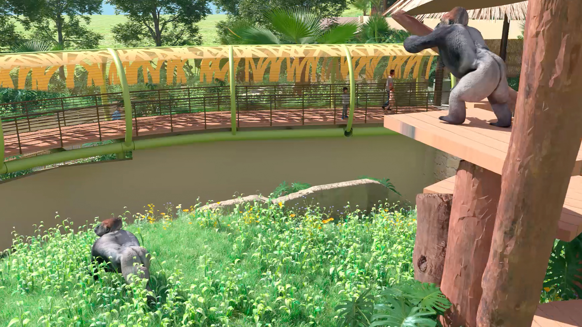 Congo Falls gorilla exhibit at San Antonio Zoo to open this weekend
