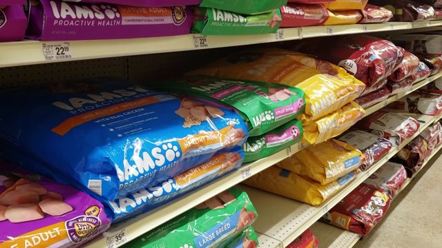 Floridians can add pet supplies to their hurricane tax holiday