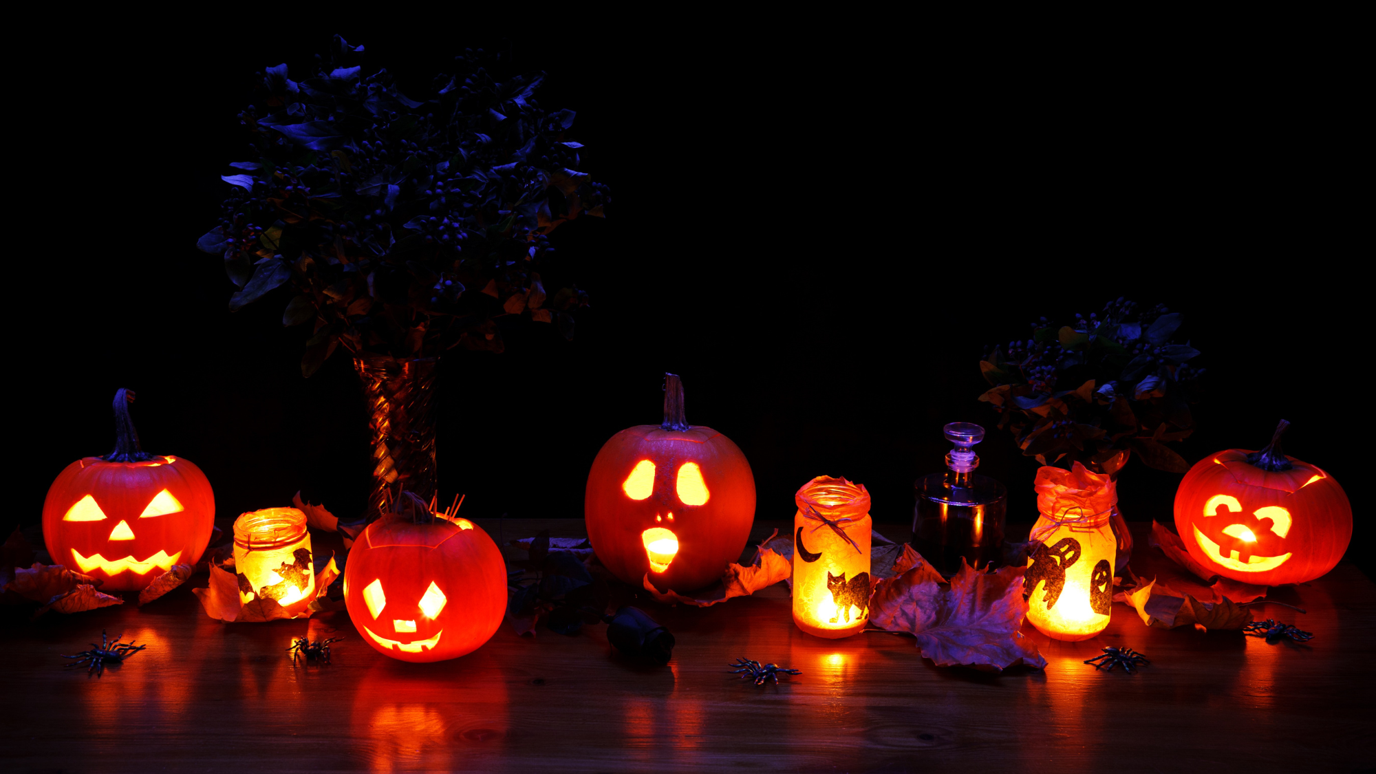 Best Places to Celebrate Fall and Halloween in Central Florida