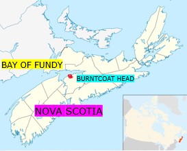Fundy Royal - Wikipedia