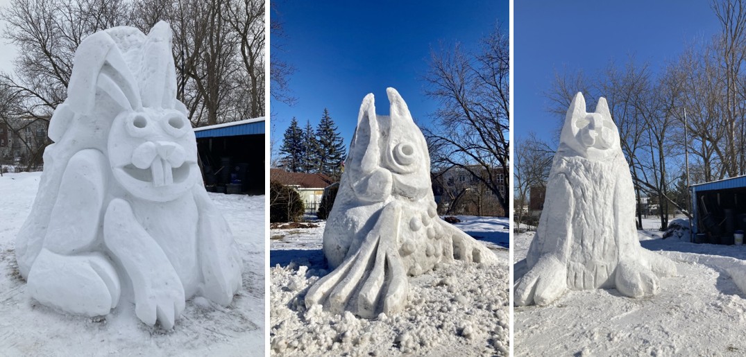 Ann Arbor man creates snow sculptures in his backyard