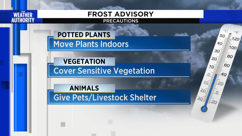 How does frost form and what to do to protect your plants