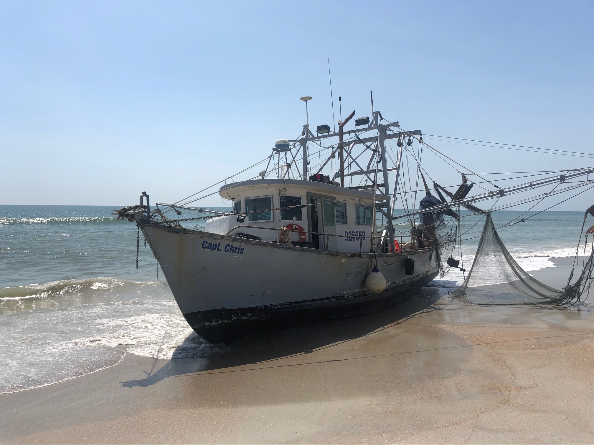 shrimp boat captain dog｜TikTok Search