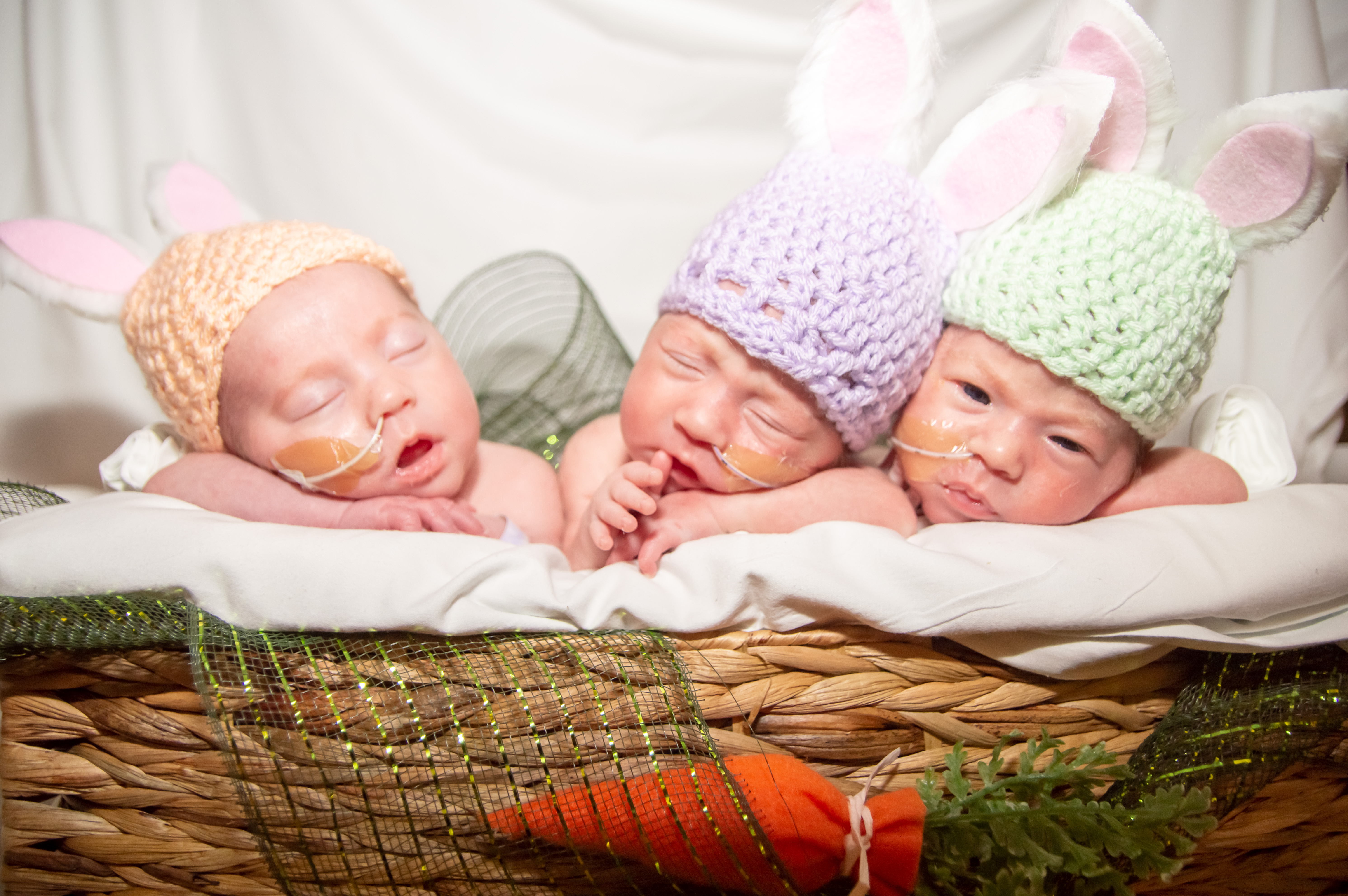 Babies dressed 2024 as bunnies