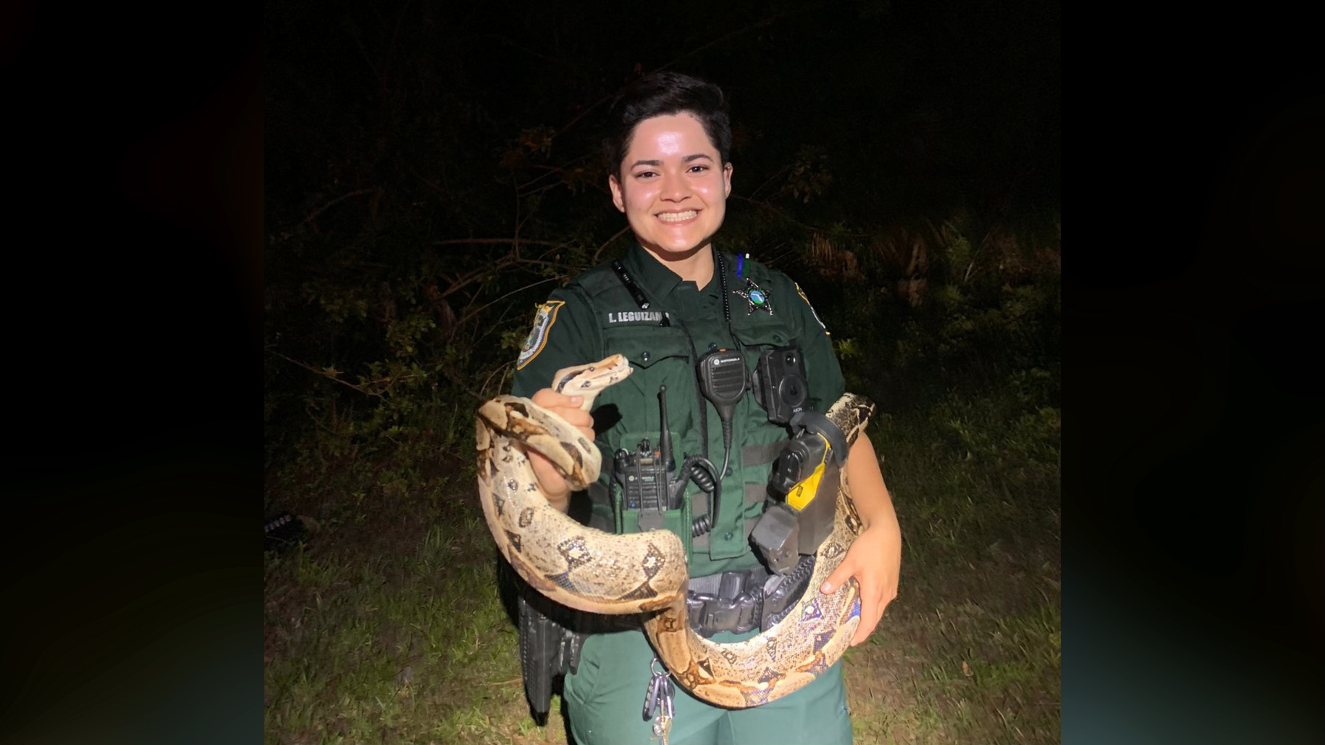 Deputy captures 75-pound boa constrictor in Florida neighborhood
