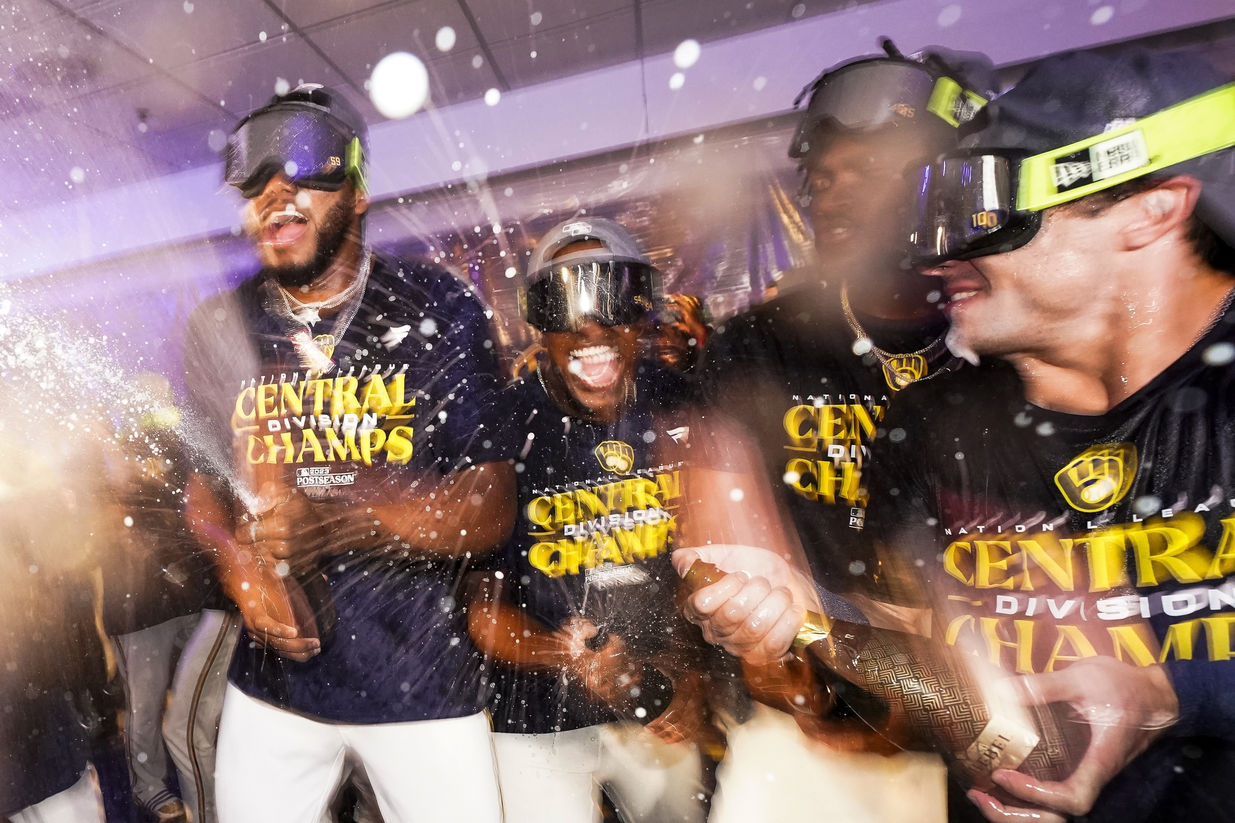 Funny st louis cardinals nl central ion champions postseason 2019