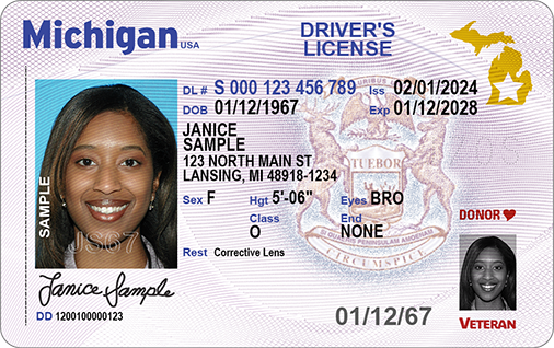 Check out next year's new Michigan driver's licenses, state IDs, and license  plates