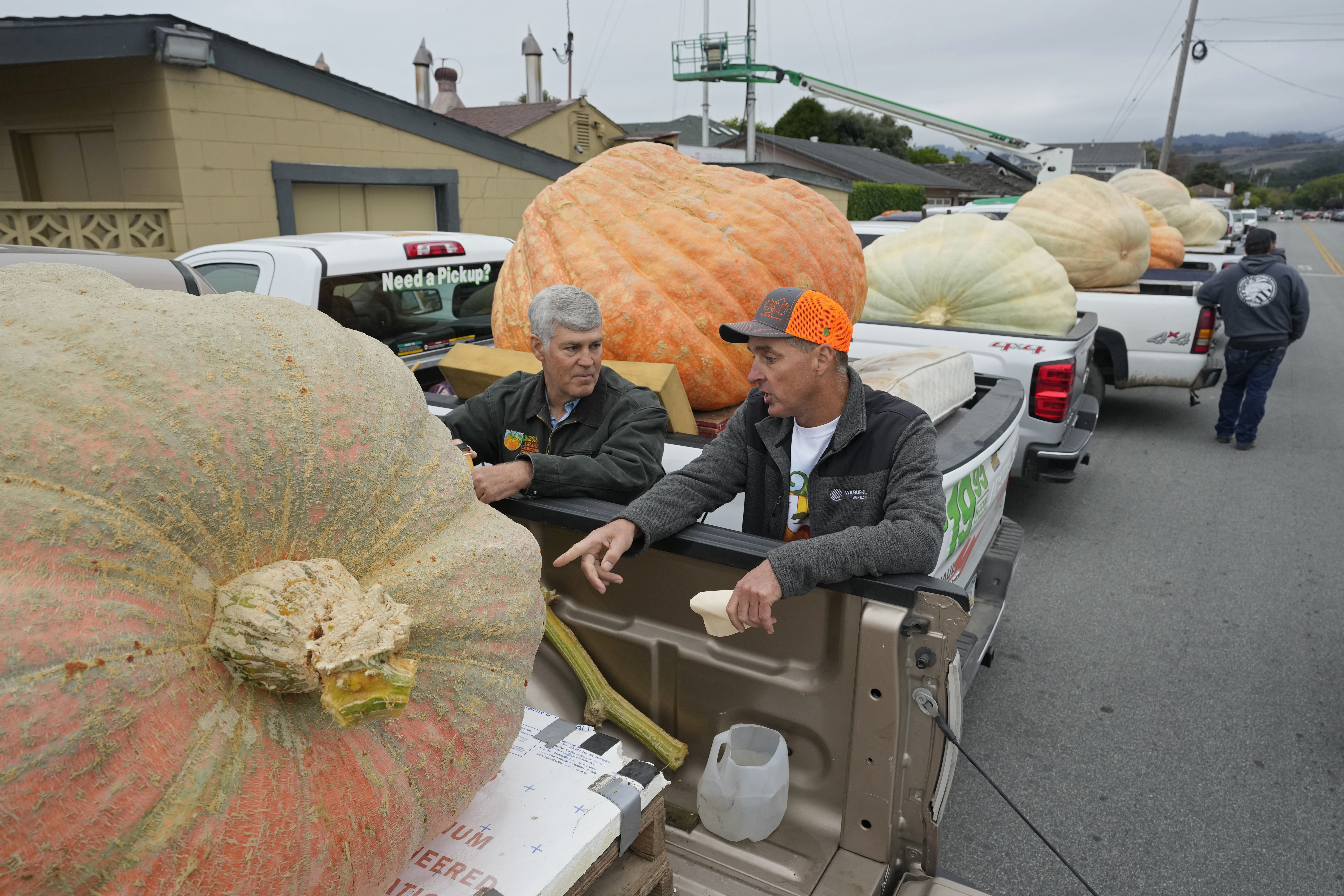 Pumpkin weighing 2,749 pounds wins California contest, sets world