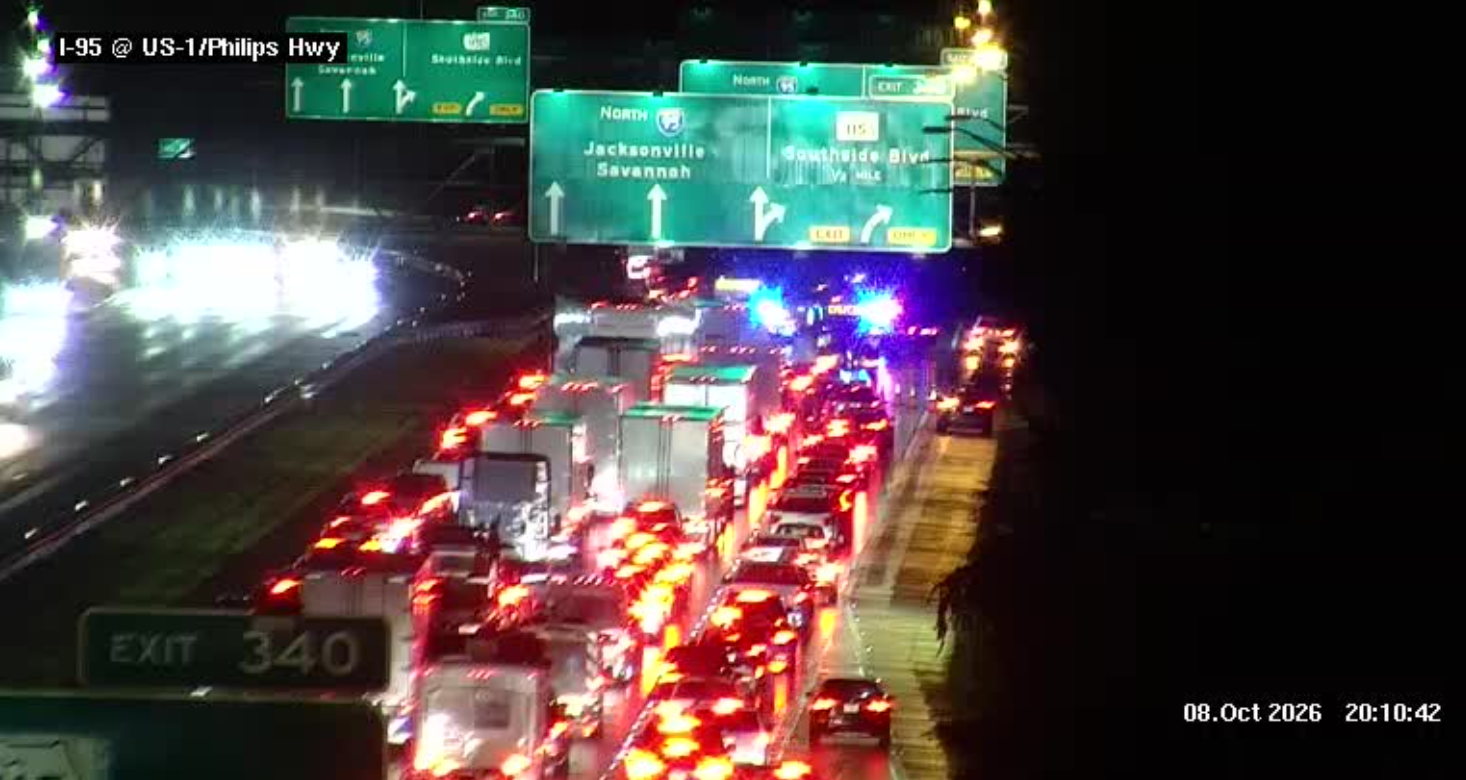 Traffic starts to clear after fallen tree in roadway closes