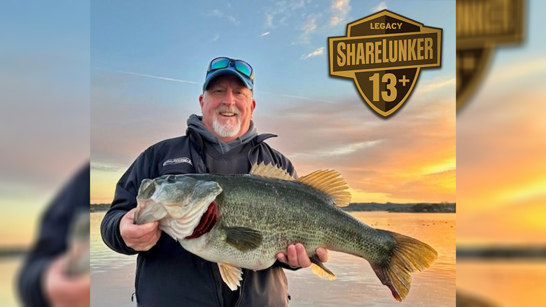13.40-pound largemouth bass caught at Inks Lake in Hill Country breaks  waterbody record