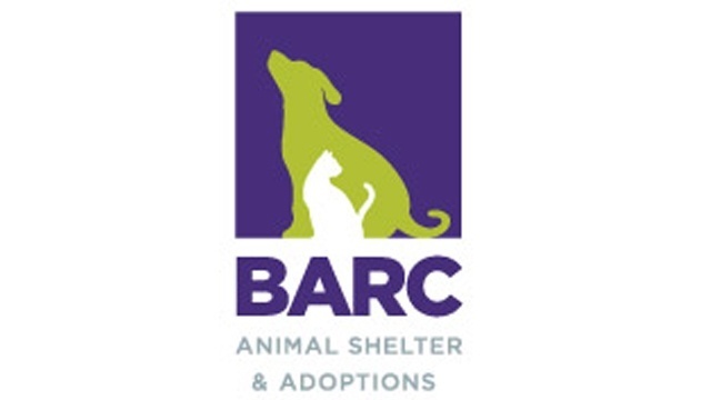 Barc animal sale shelter and adoptions