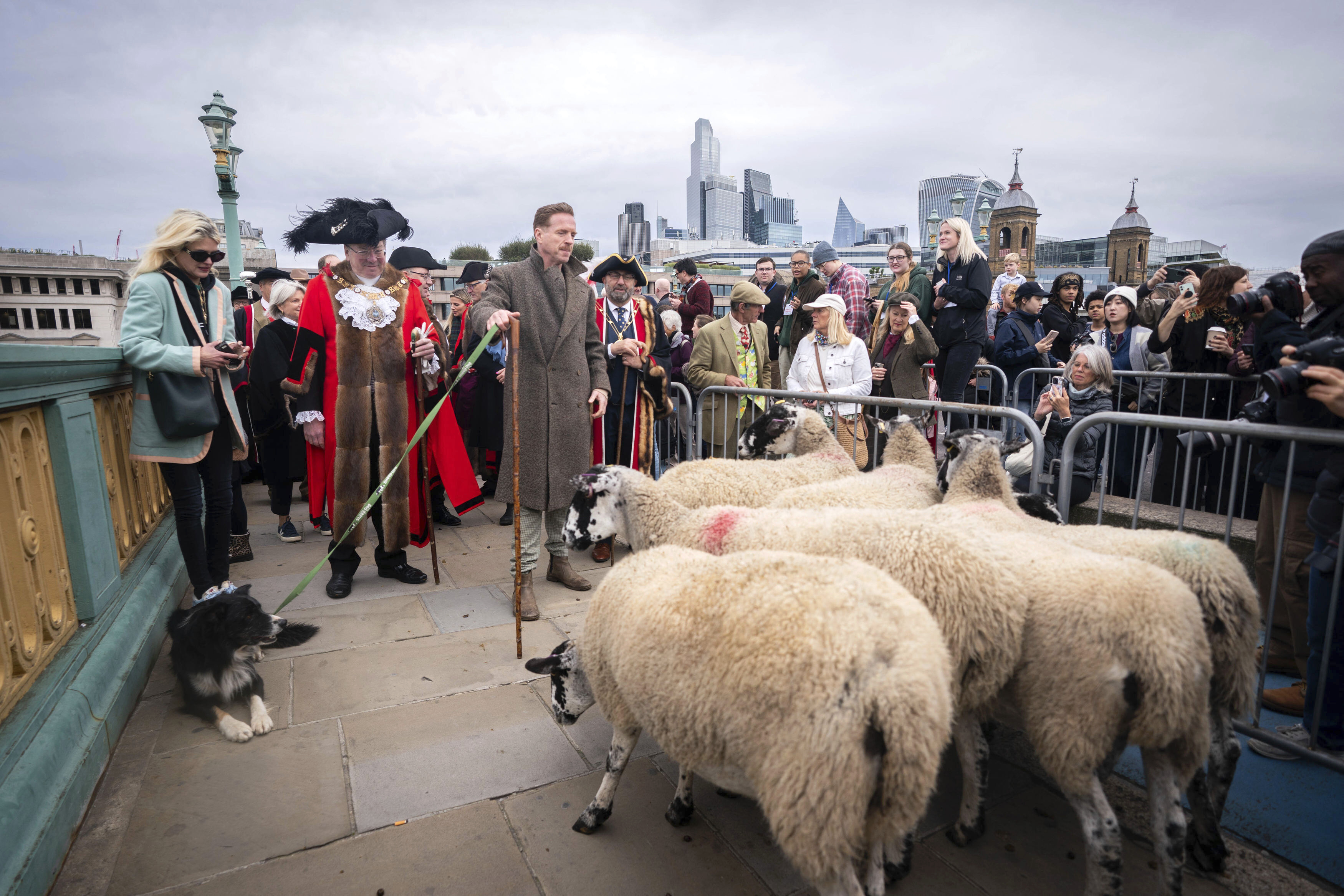 Damian Lewis herds sheep over a London bridge in homage to a