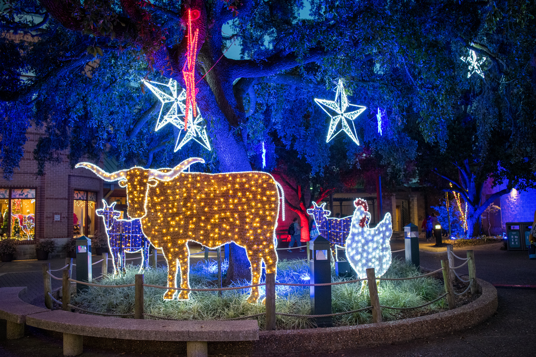 Houston Zoo Christmas Lights 2021