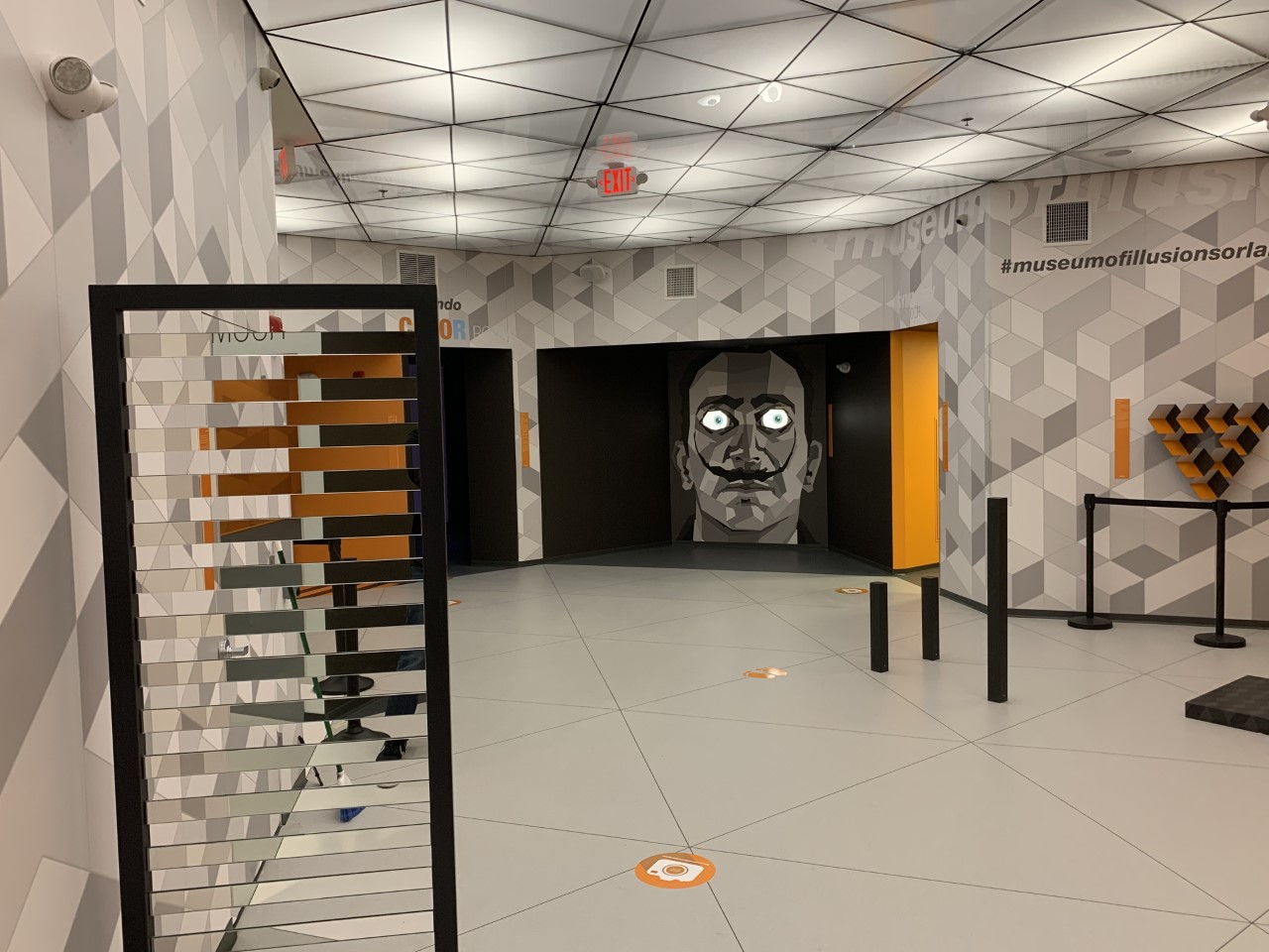 UCF Knights - Museum of Illusions Orlando