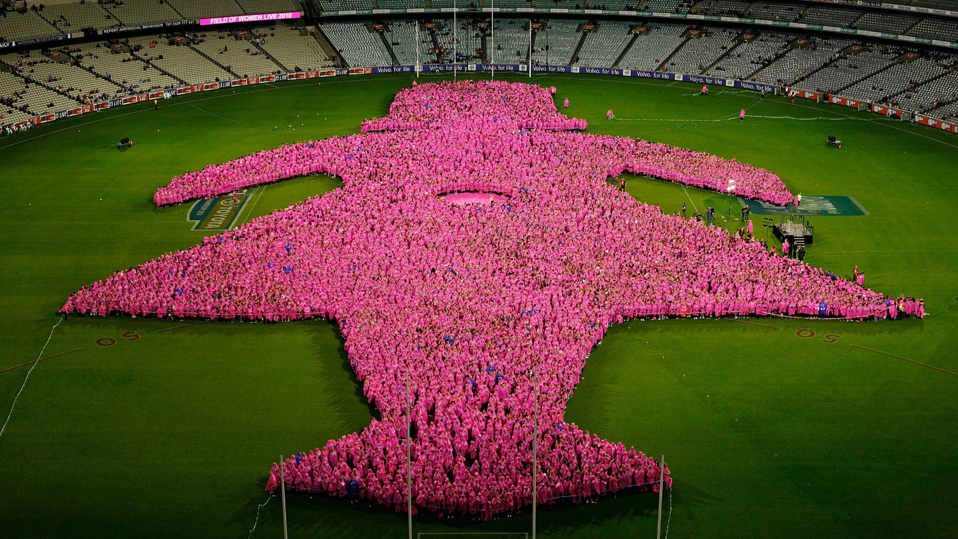 Pink ribbons fly high for breast cancer awareness as VA supports detection  and care - VA News