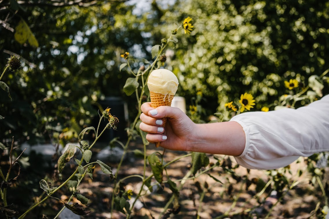 22 Essential Houston Ice Cream Shops