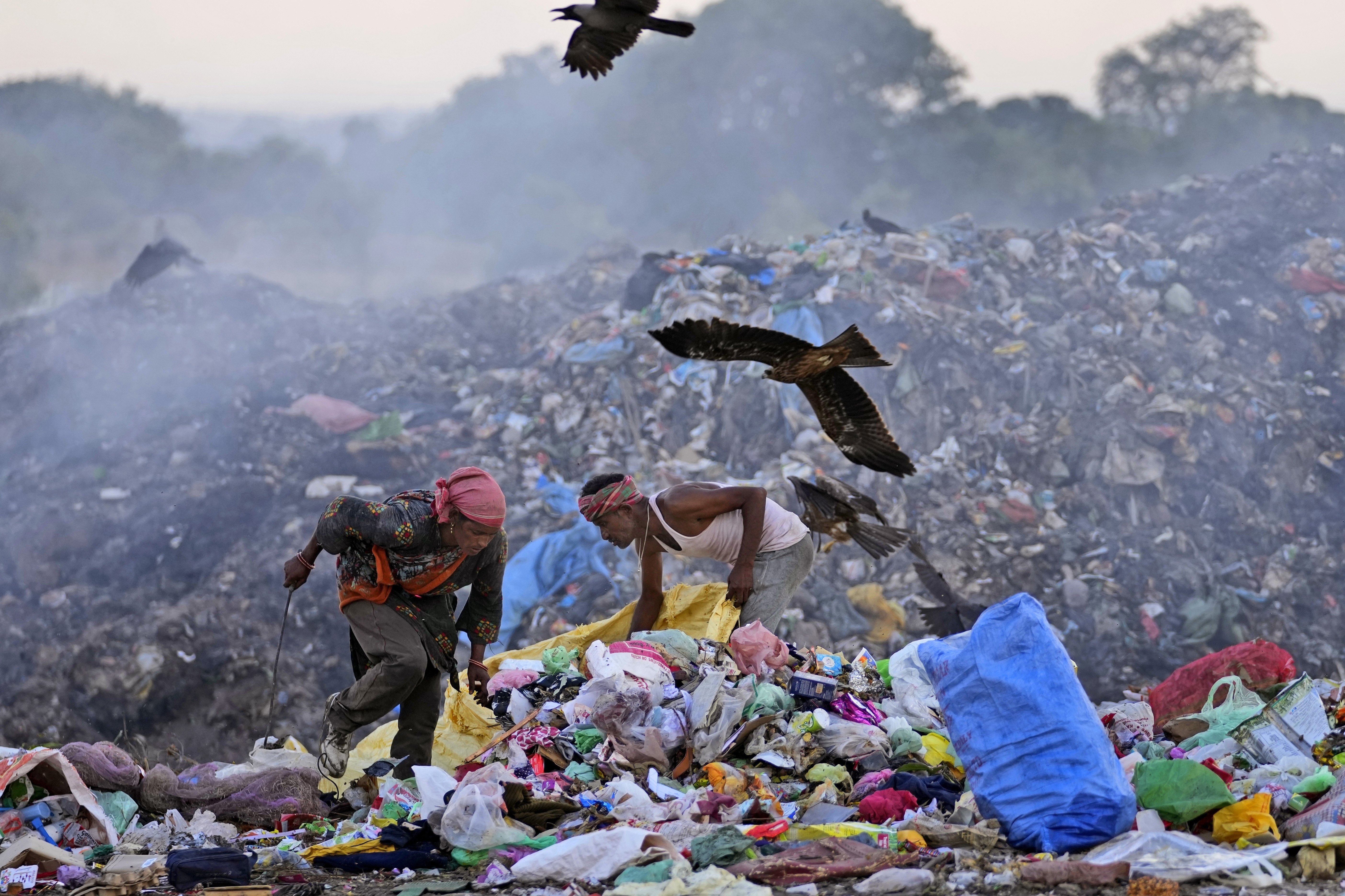 For India's garbage pickers, a miserable and dangerous job made
