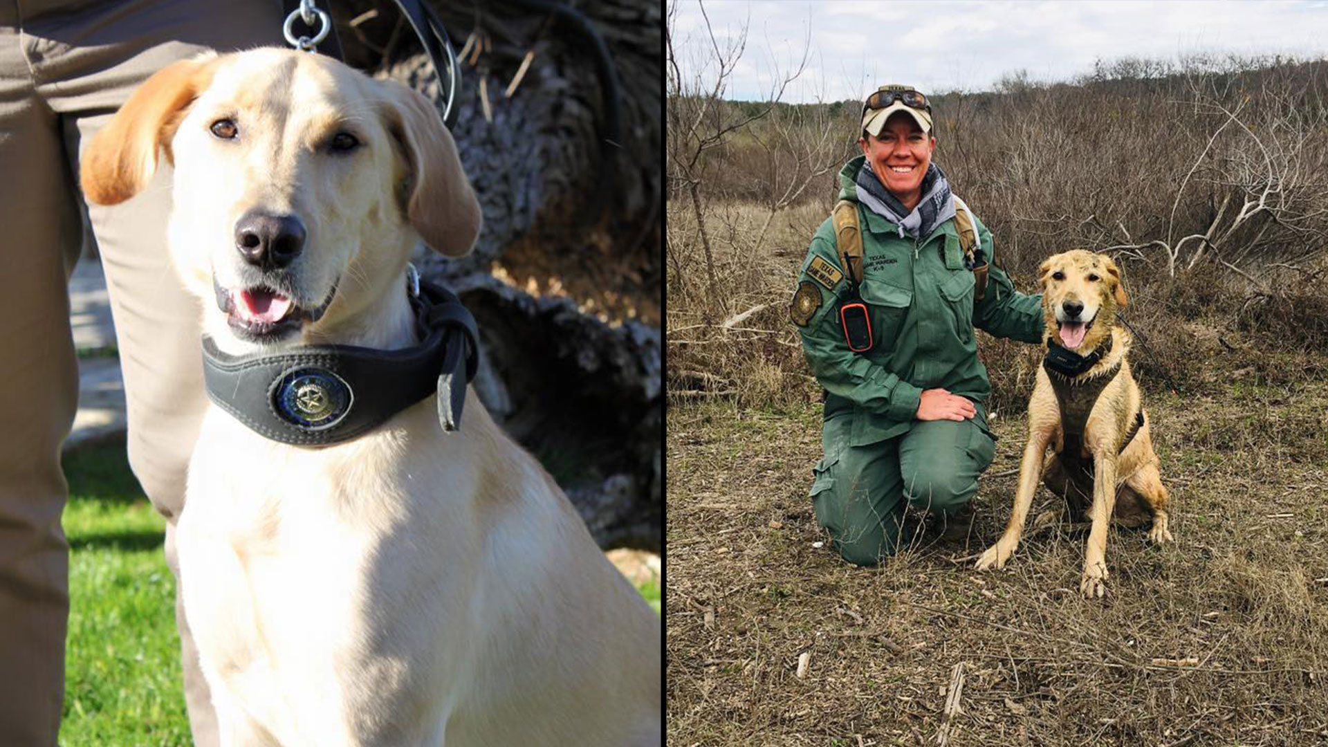 Texas Game Warden Profile: Ruger - Gear Up for Game Wardens