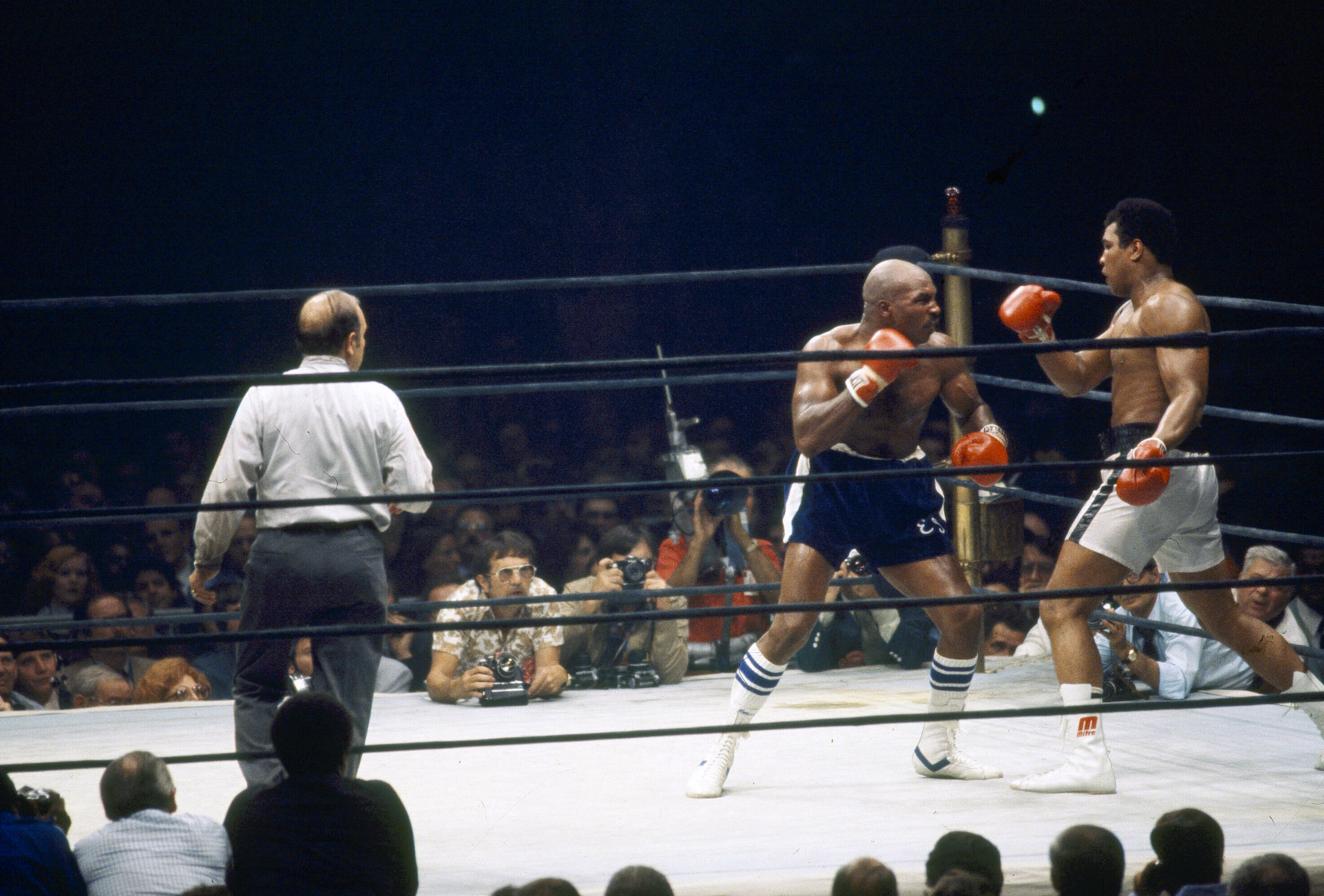 40 Years On: The Tex Cobb - Earnie Shavers War Remembered - Boxing News