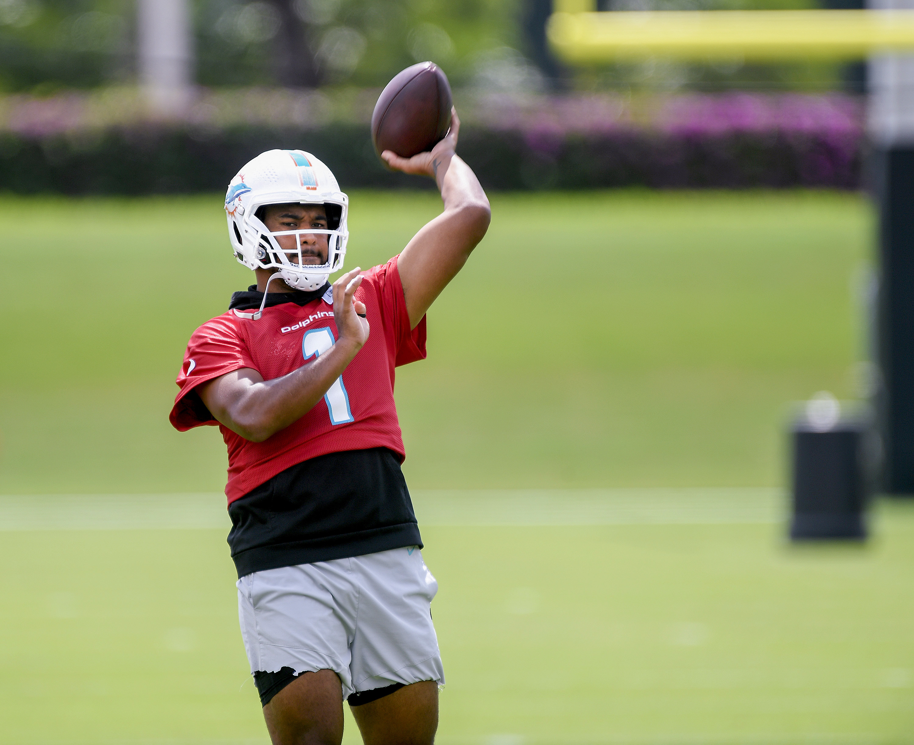 Dolphins' Tua Tagovailoa chose jiu-jitsu over retirement