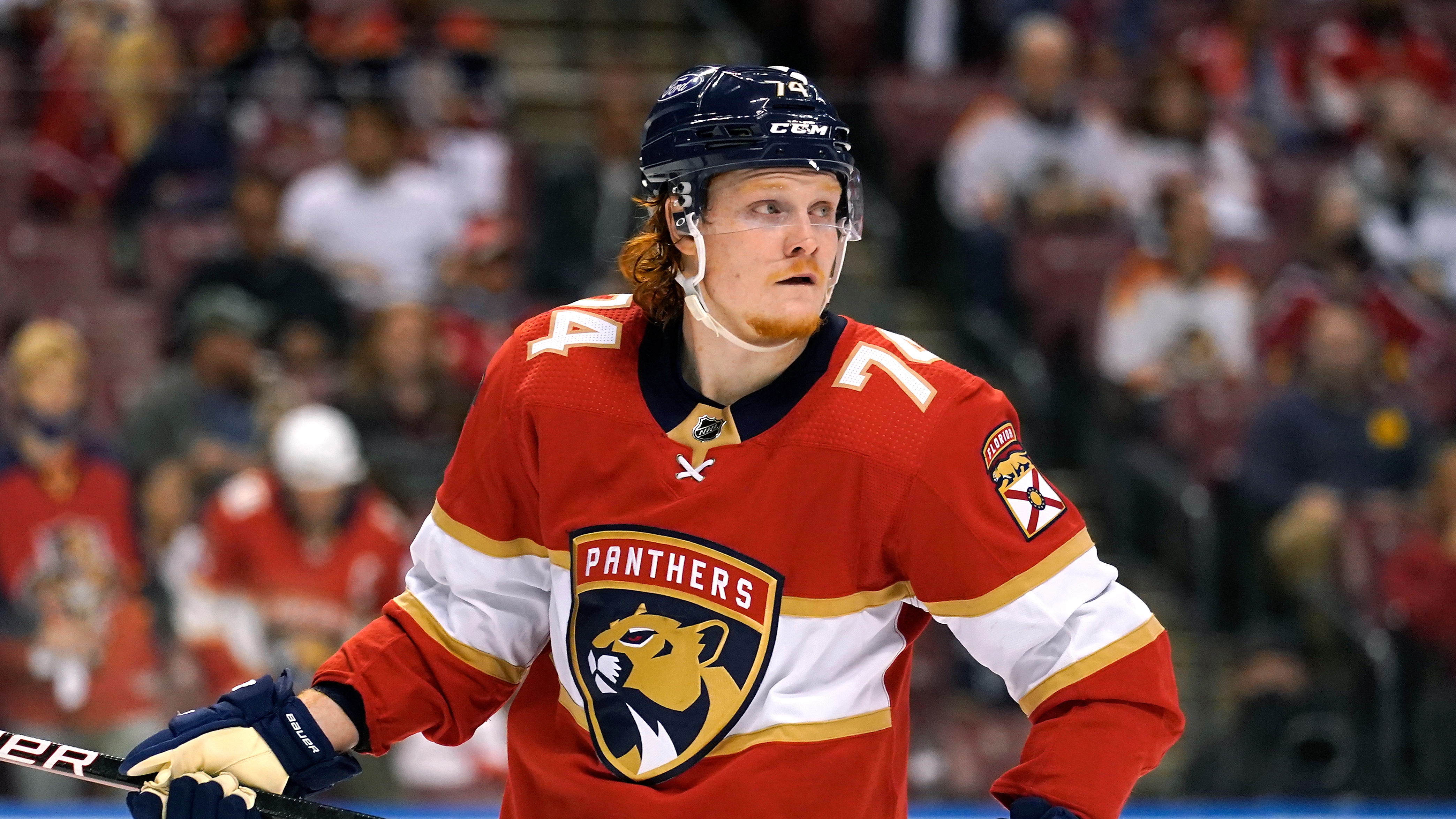 Florida Panthers Looking Like They'll Stay Competitive This Season