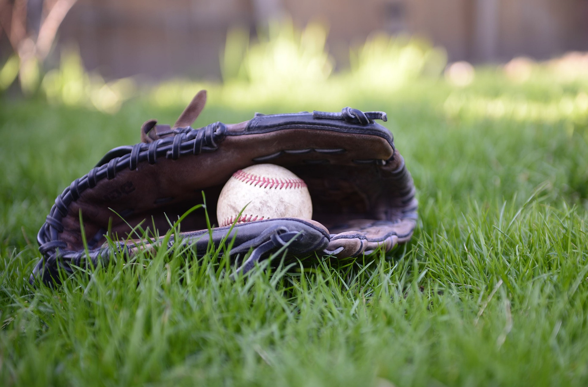 Trinity Christian grad Austin Martin signs with Blue Jays