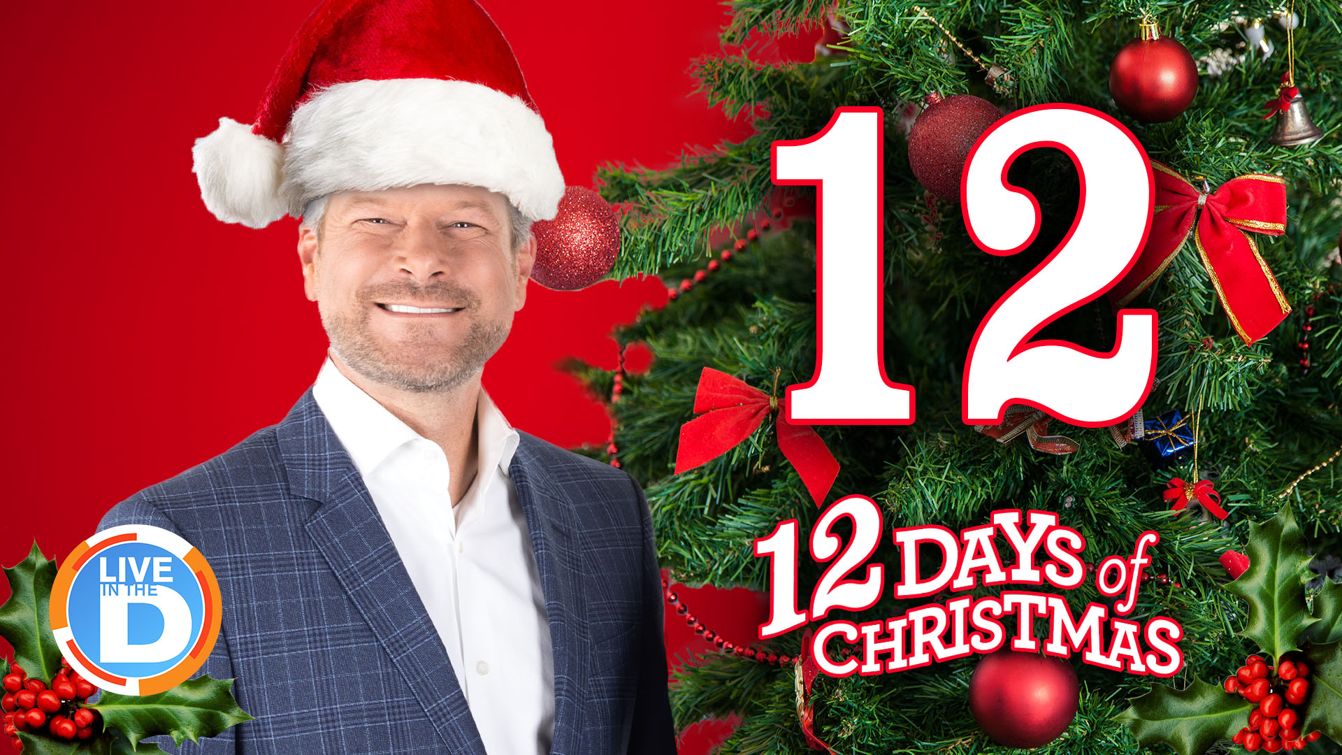 Jason S 12 Days Of Christmas Day 12