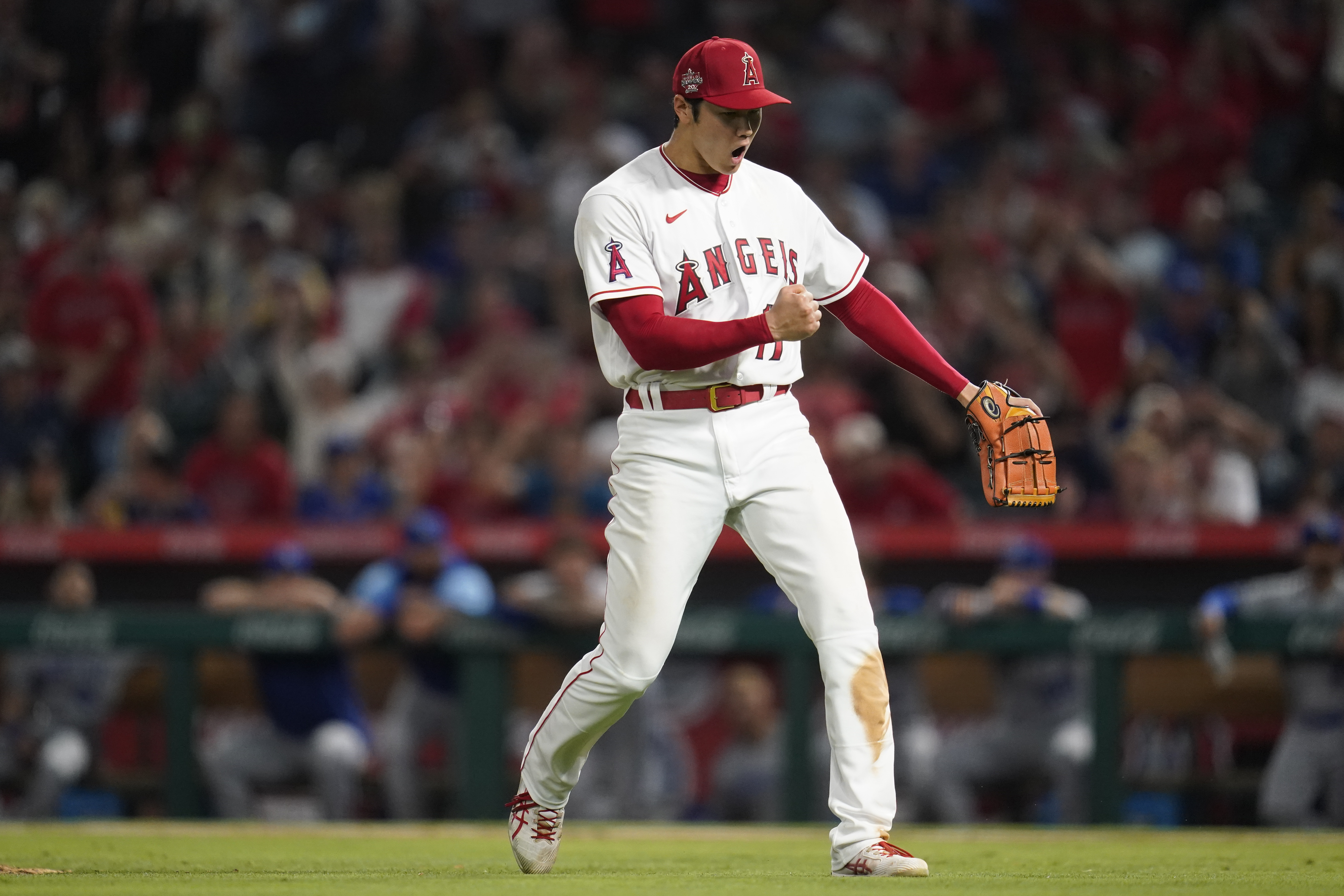 Bryce Harper & Shohei Ohtani Autographed 20 x 24 2021 MVP