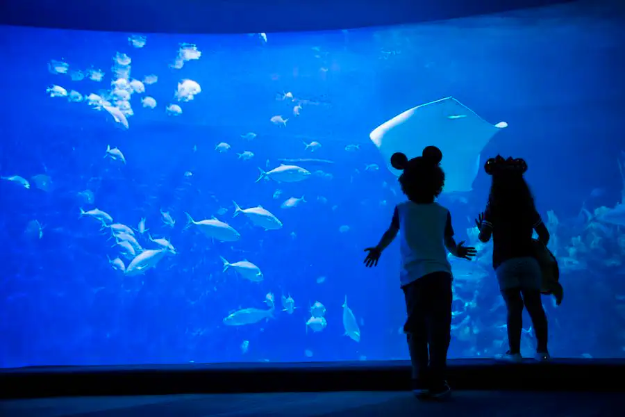 Disney Aquarium