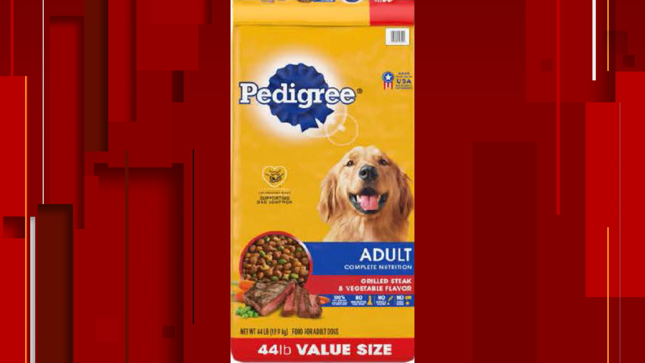 best slow feeder bowl for dogs Best Slow Feeder Dog Bowl for Healthy Eating  malibudjango