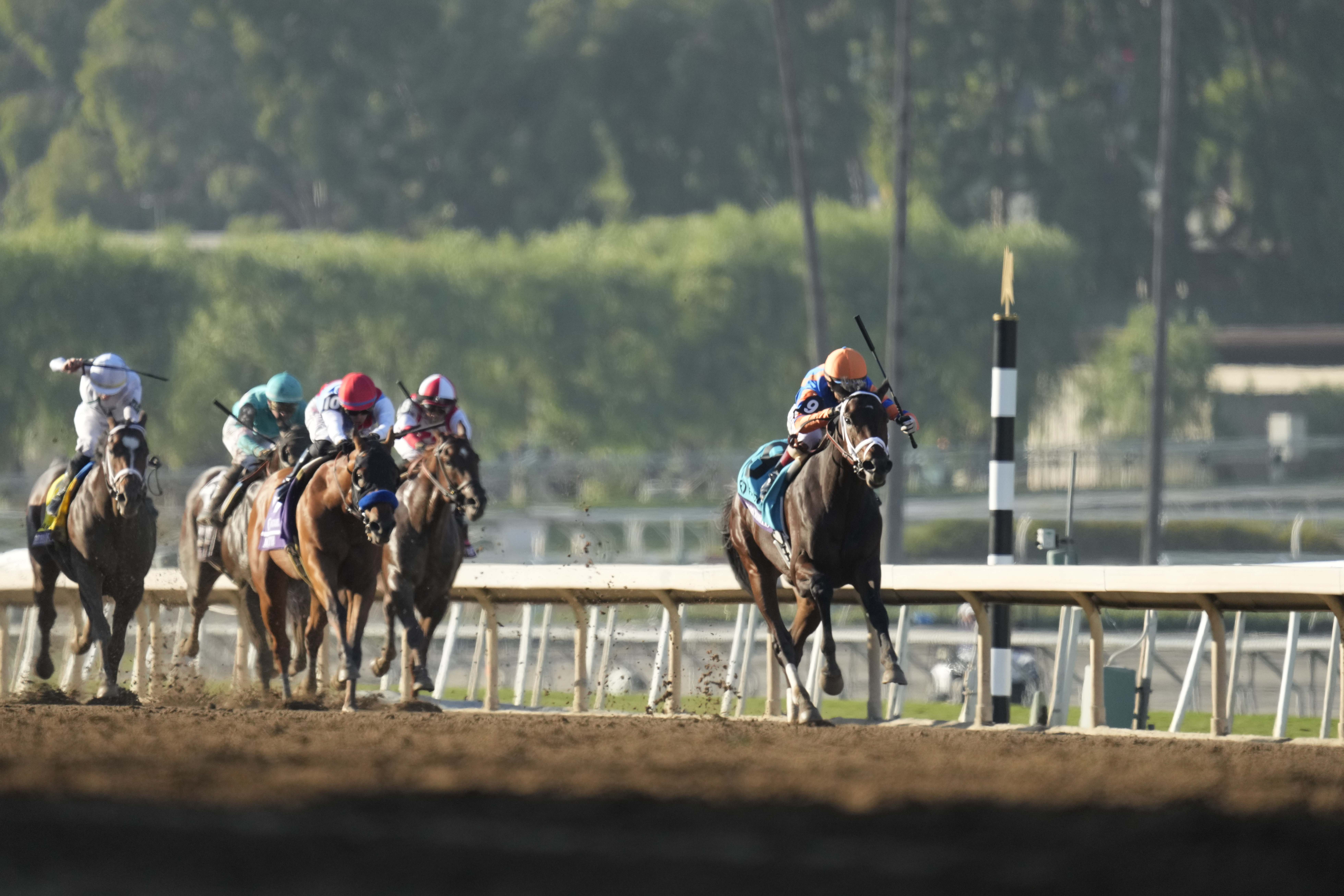 16-1 shot Fierceness wins Breeders' Cup Juvenile for trainer Todd